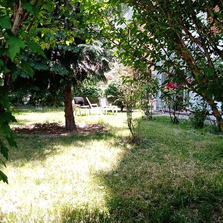 Central Lakeside Apartment Ochryda Zewnętrze zdjęcie