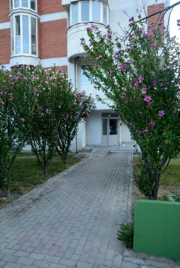 Central Lakeside Apartment Ochryda Zewnętrze zdjęcie